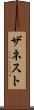 ザネスト Scroll