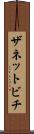ザネットビチ Scroll