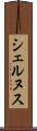 シェルヌス Scroll