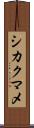 シカクマメ Scroll