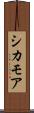 シカモア Scroll