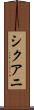 シクアニ Scroll