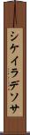 シケイラデソサ Scroll