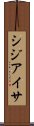 シジアイサ Scroll