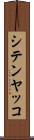 シテンヤッコ Scroll