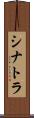 シナトラ Scroll