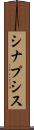 シナプシス Scroll
