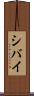 シバイ Scroll