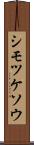 シモツケソウ Scroll