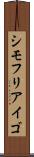 シモフリアイゴ Scroll