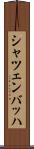 シャツェンバッハ Scroll