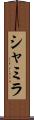 Shamila Scroll