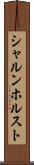 シャルンホルスト Scroll