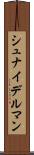 シュナイデルマン Scroll