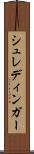 シュレディンガー Scroll