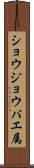 ショウジョウバエ属 Scroll