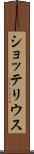 ショッテリウス Scroll
