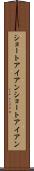 ショートアイアン Scroll