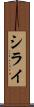 シライ Scroll
