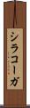 シラコーガ Scroll