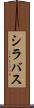 シラバス Scroll