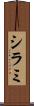 シラミ Scroll