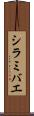 シラミバエ Scroll