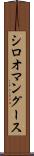 シロオマングース Scroll
