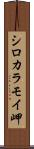 シロカラモイ岬 Scroll