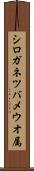 シロガネツバメウオ属 Scroll