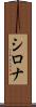Shirona Scroll