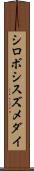 シロボシスズメダイ Scroll