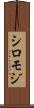 シロモジ Scroll