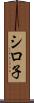 シロ子 Scroll