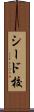 シード校 Scroll