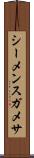 シーメンスガメサ Scroll