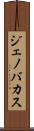 Jenovacus Scroll