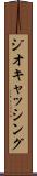 ジオキャッシング Scroll