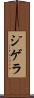 ジゲラ Scroll