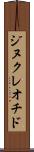ジヌクレオチド Scroll