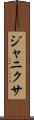 Janixa Scroll