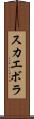 スカエボラ Scroll