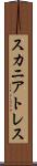スカニアトレス Scroll