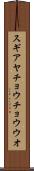 スギアヤチョウチョウウオ Scroll