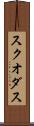 スクオダス Scroll