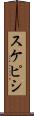 スケピシ Scroll