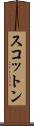 スコットン Scroll