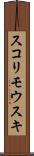 スコリモウスキ Scroll