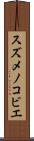 スズメノコビエ Scroll