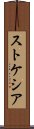 ストケシア Scroll